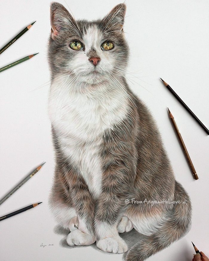 01-Cupcake-Angie-Cats-Dogs-and-an-Owl-Pencil-Drawings-www-designstack-co