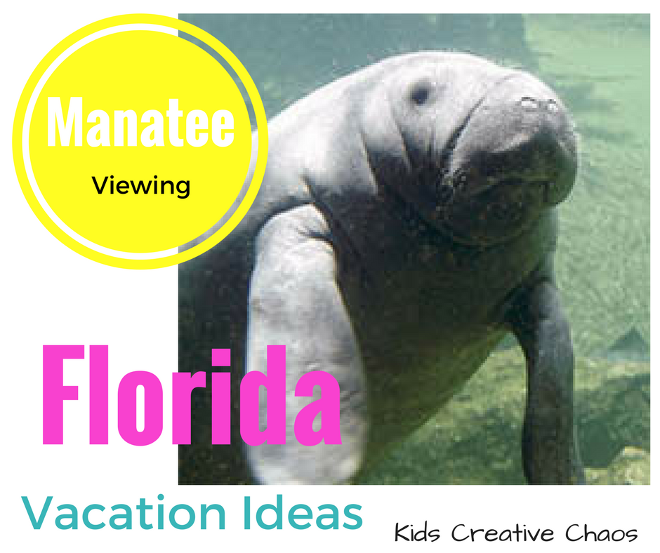My Trip to the Manatee Viewing Center in Florida - Adventures of Kids