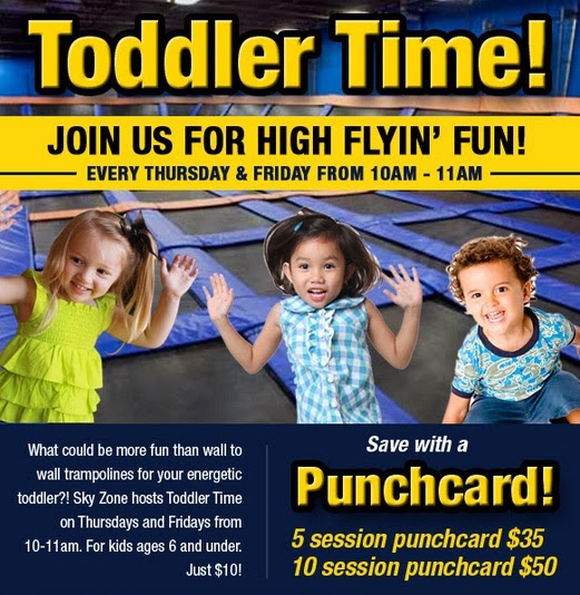 Ann Arbor Mom Blog Toddler Time at Skyzone