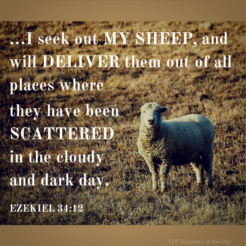 LDS Scripture Of The Day Ezekiel 34 12