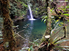 Uma das muitas cachoeiras da Reserva