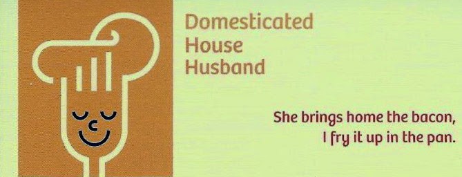 Domesticated House Husband