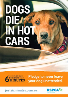 RSPCA-Dogs-die-in-hot-cars