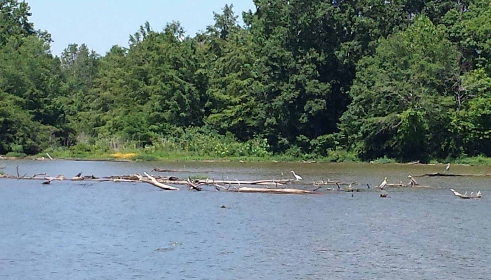 Our Odyssey One Mississippi, two Mississippi...
