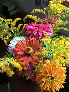 Garden zinnias because the story needs zinnias.