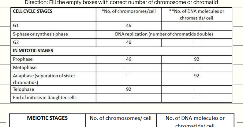Mitosis and Meiosis Worksheet on Chromosome and Chromatid number (DNA