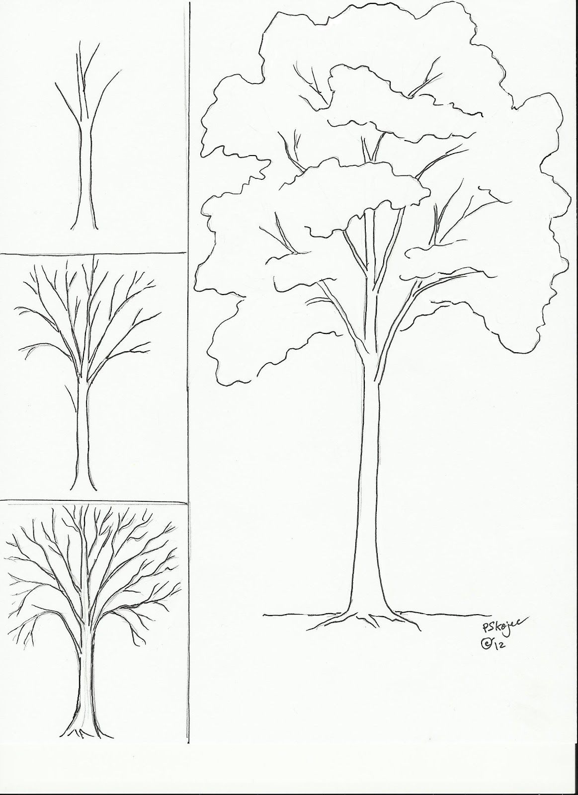 كيفية رسم شجرة خطوة بخطوة
