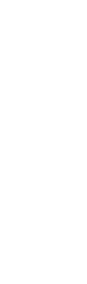 玄甲军, Xuán jiǎ jūn: "Jet Black Armor Horsemen" (Lit, Black Armor or Obscure Armor Army) "玄" denotes black, gloomy, obscure and mysterious.