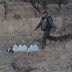 Border Patrol agents 'are repeatedly destroying or vandalizing food and water caches left for migrants in the Arizona desert by humanitarian aid groups'