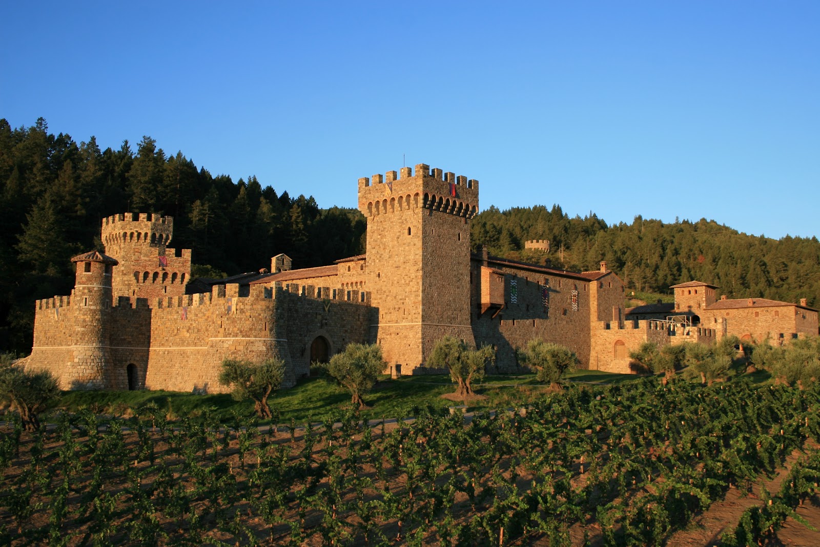 Tuscan Vines: 2004 Castello di Amorosa La Castellana
