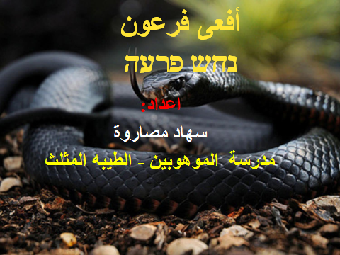 כימיה כיתות ו מחוננים 2015 2016 נובמבר 2015