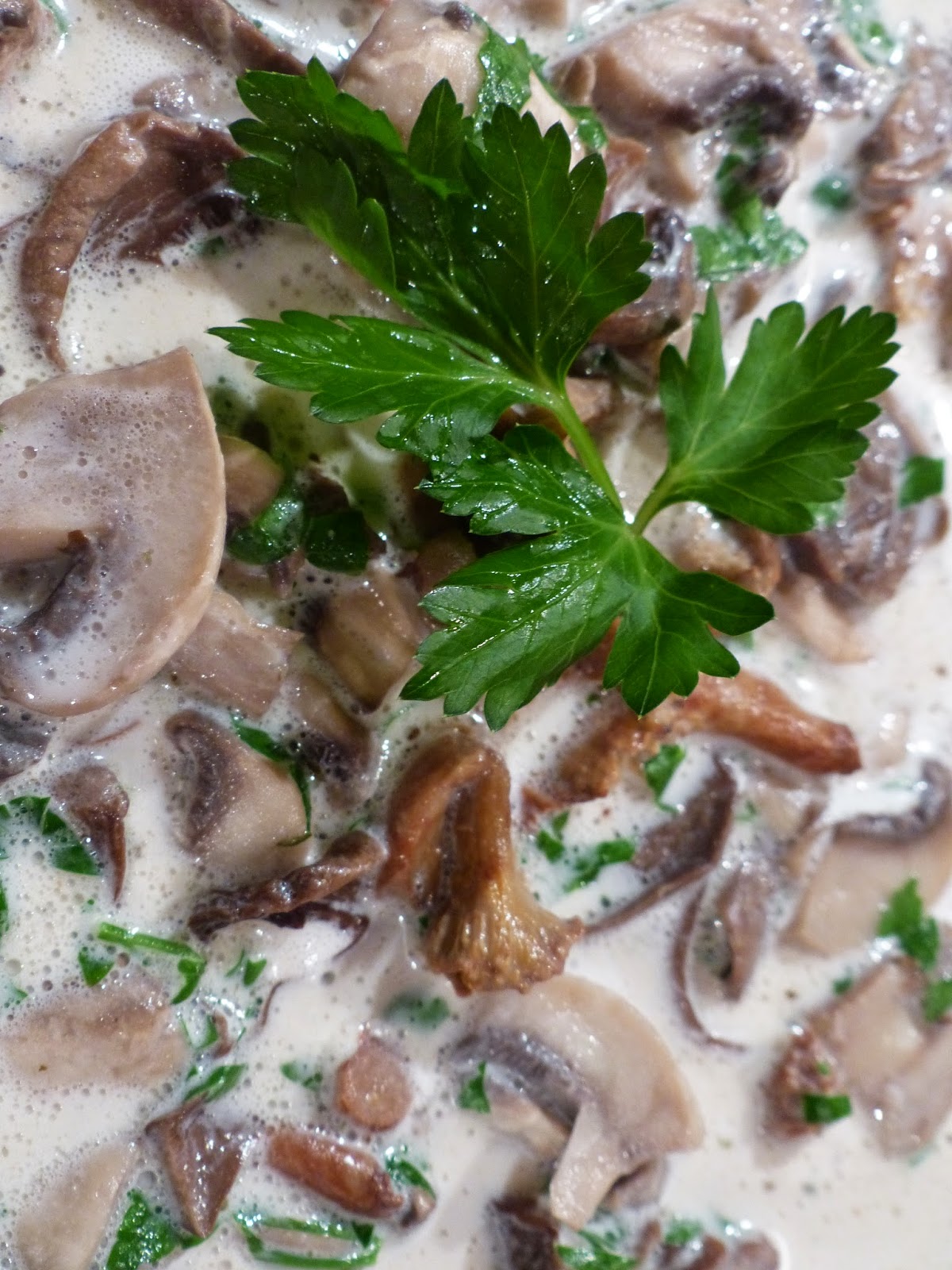 Verboten gut ⚠: Schwammerlsuppe
