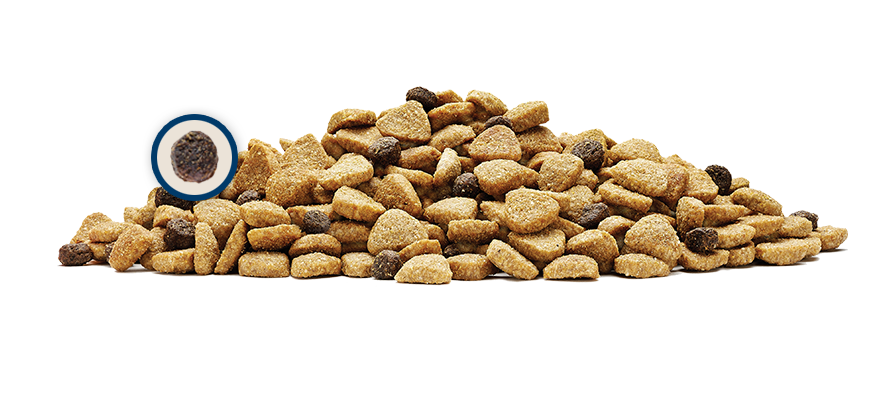 Karma Organic Dry Dog Food Karma Organic Dry Dog Food