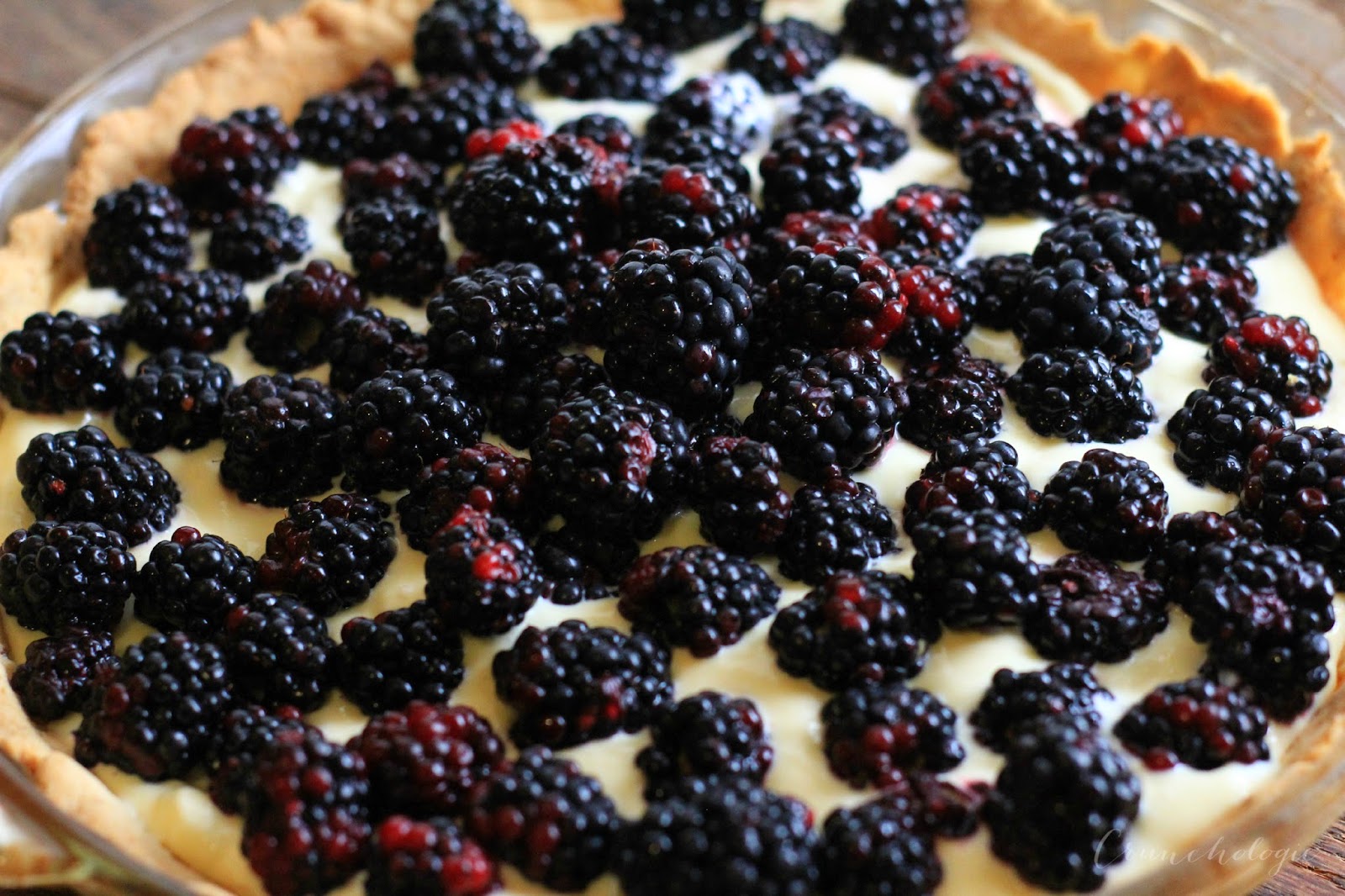 Blackberry Pie with Citrus Basil Custard