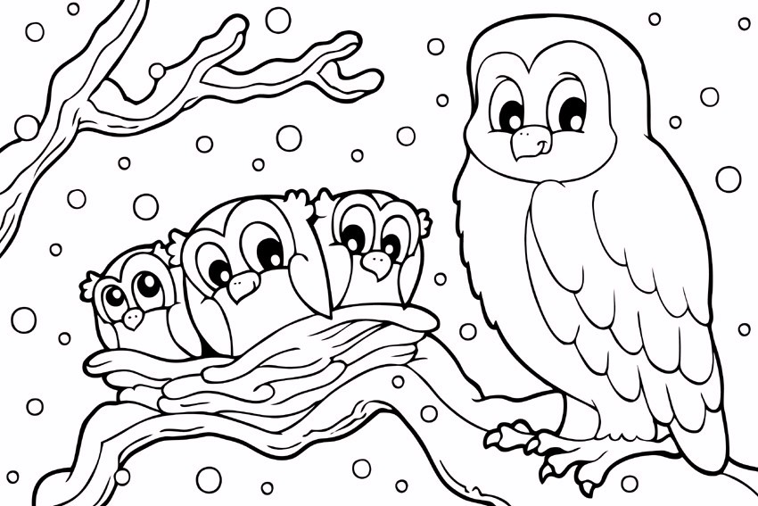 Bau Da Web Desenhos De Corujas Para Imprimir E Colorir Click here to other photos. desenhos de corujas para imprimir e colorir