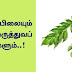 கறிவேப்பிலையும் அதன் மருத்துவப் பயன்களும் | Health Tips