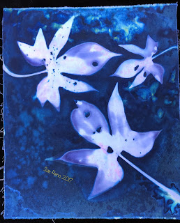 Wet Cyanotype_Sue Reno_Image 168