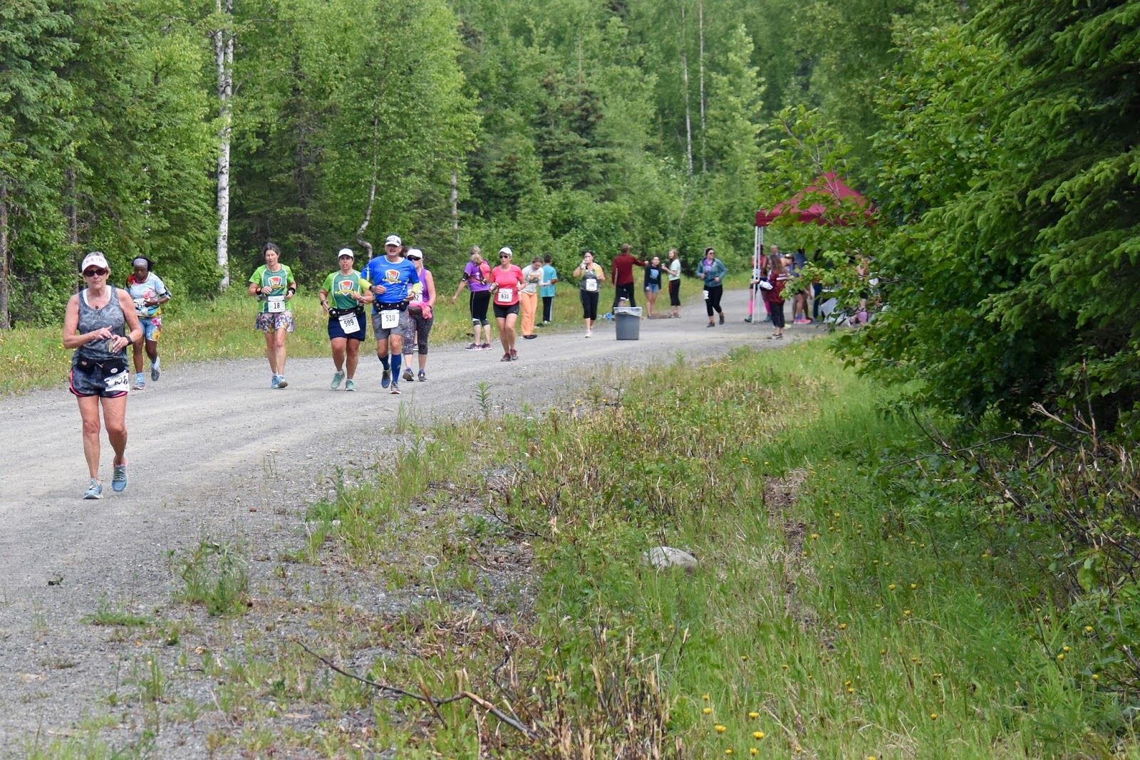 Races and Places: Mayor's Midnight Sun Marathon and Half Marathon,  Anchorage, Alaska