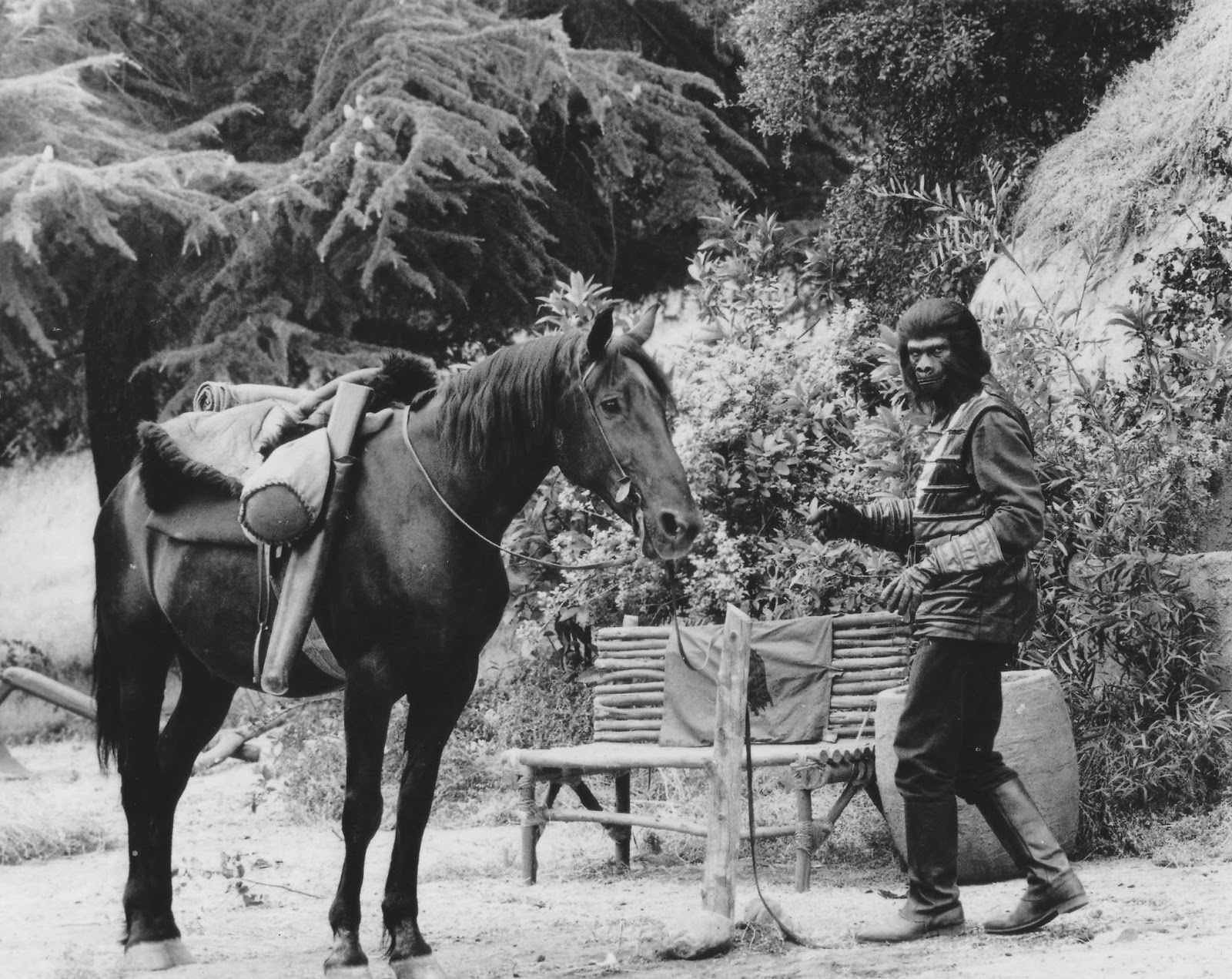 Archives Of The Apes Planet Of The Apes The Tv Series 1974 Part 29