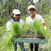Ayuntamiento de Morelia continúa con jornadas de reforestación en el municipio