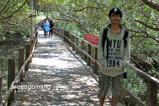 taman mangrove morosari demak
