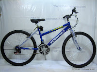 26 Inch Senator Scorpion Ocean Ladies 18 Speed Mountain Bike 1