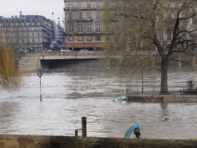 Square du Vert Galant and the flood (2)
