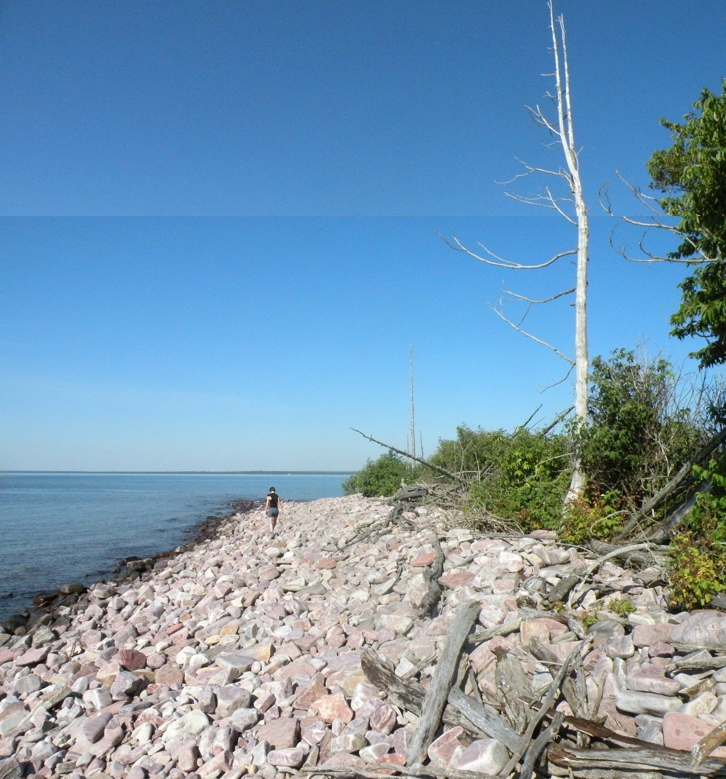 Object Guerilla Rabbit Island The Trip