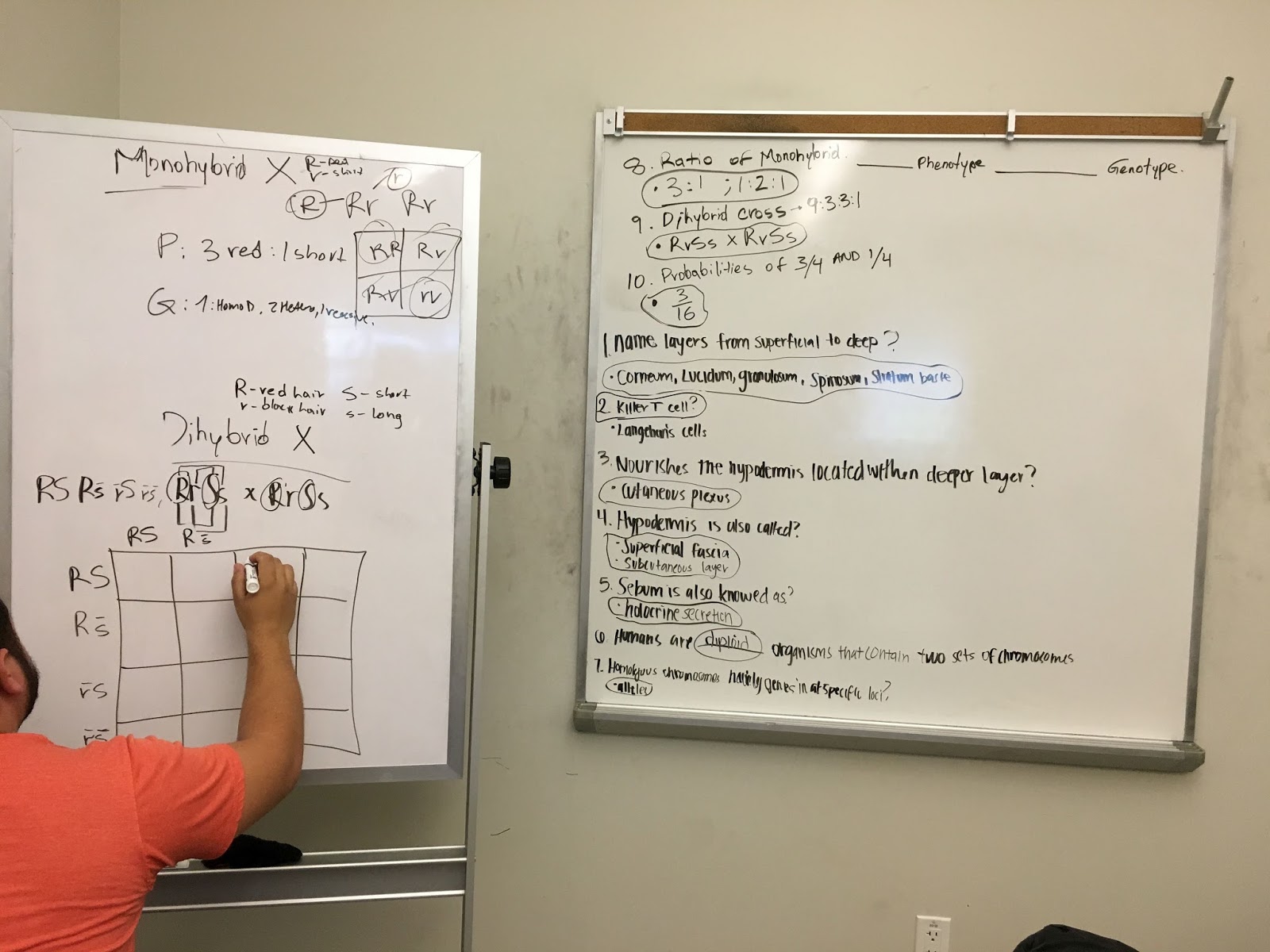 Rio Hondo College Library log Need More Whiteboard Space? You've