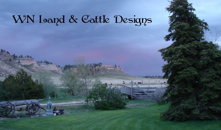 WN Land and Cattle Designs