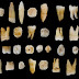 Зъби, открити в пещера в Китай, подсказват далеч по-ранно разселване на Homo sapiens