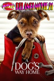 A-Dog’s-Way-Home A-Dog’s-Way-Home