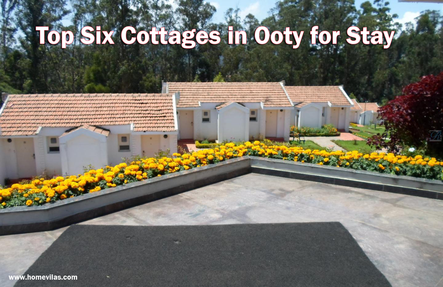 The Vibrant Cottage Best Cottage Stay In Ooty