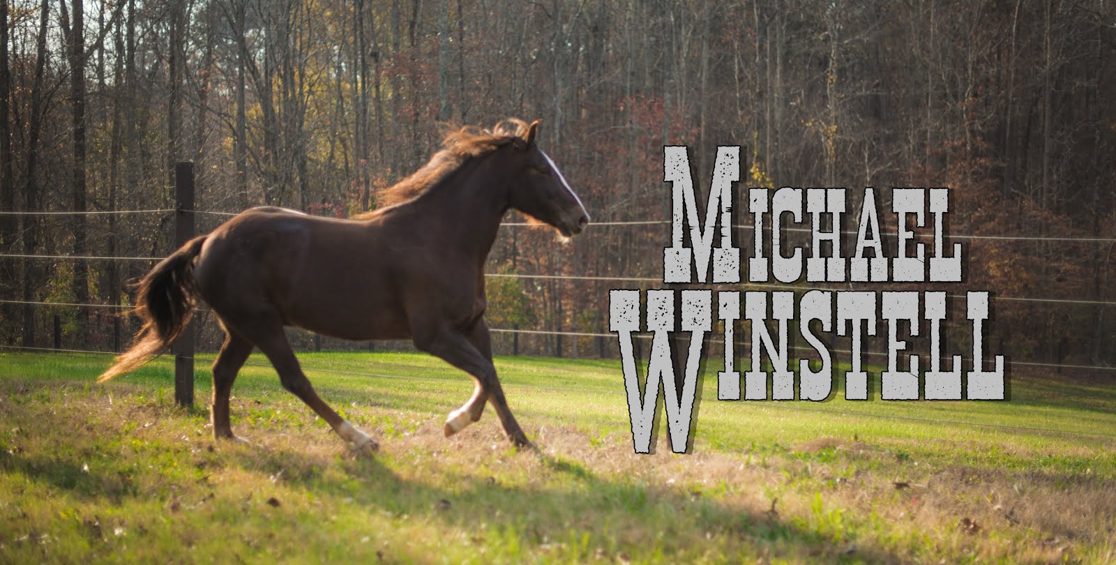 Official Homepage of Michael Winstell