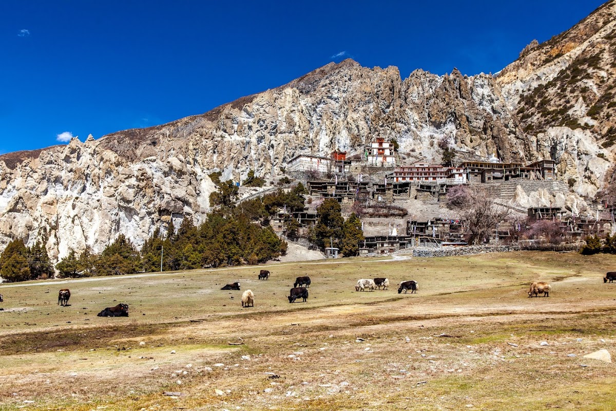 200км по красно-белым черточкам.. Around Annapurna. март-апрель 2017