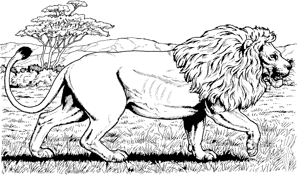 Mewarnai Gambar Singa Kartun Binatang
