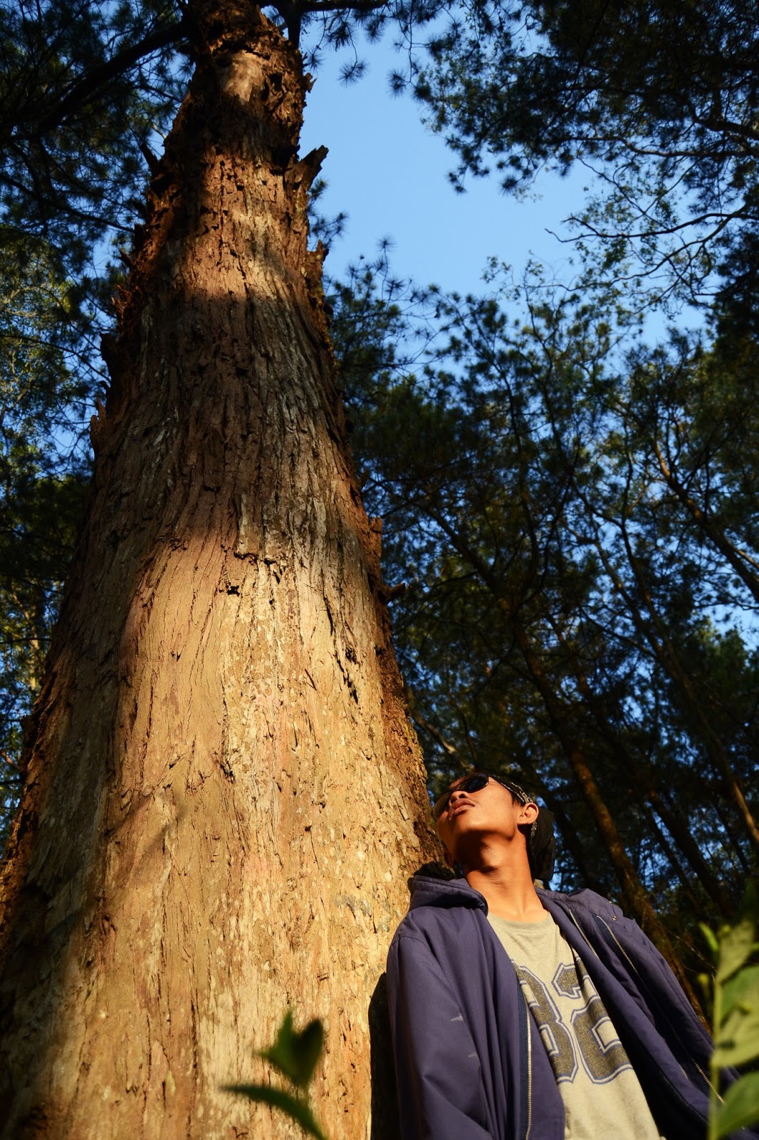 Hasil Foto Keren Menggunakan Lensa Kit 18-55mm Hasil Foto Keren Menggunakan Lensa Kit 18-55mm