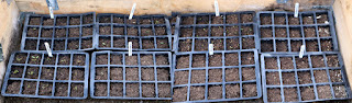 Slightly fewer here, apart from the beetroot Slightly fewer here, apart from the beetroot