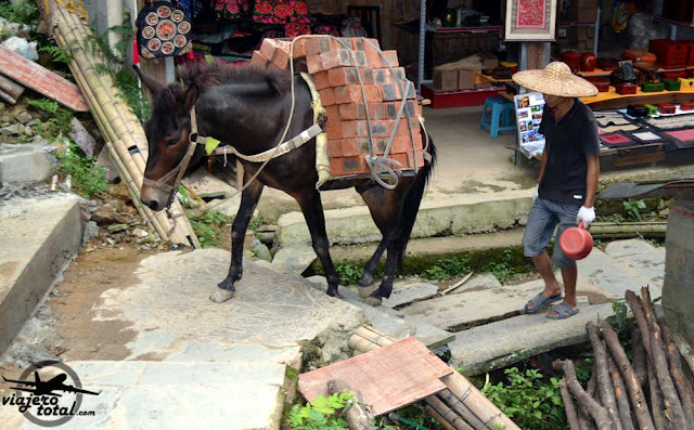 Ping'An Village - Arrozales de Longji - Longsheng - China