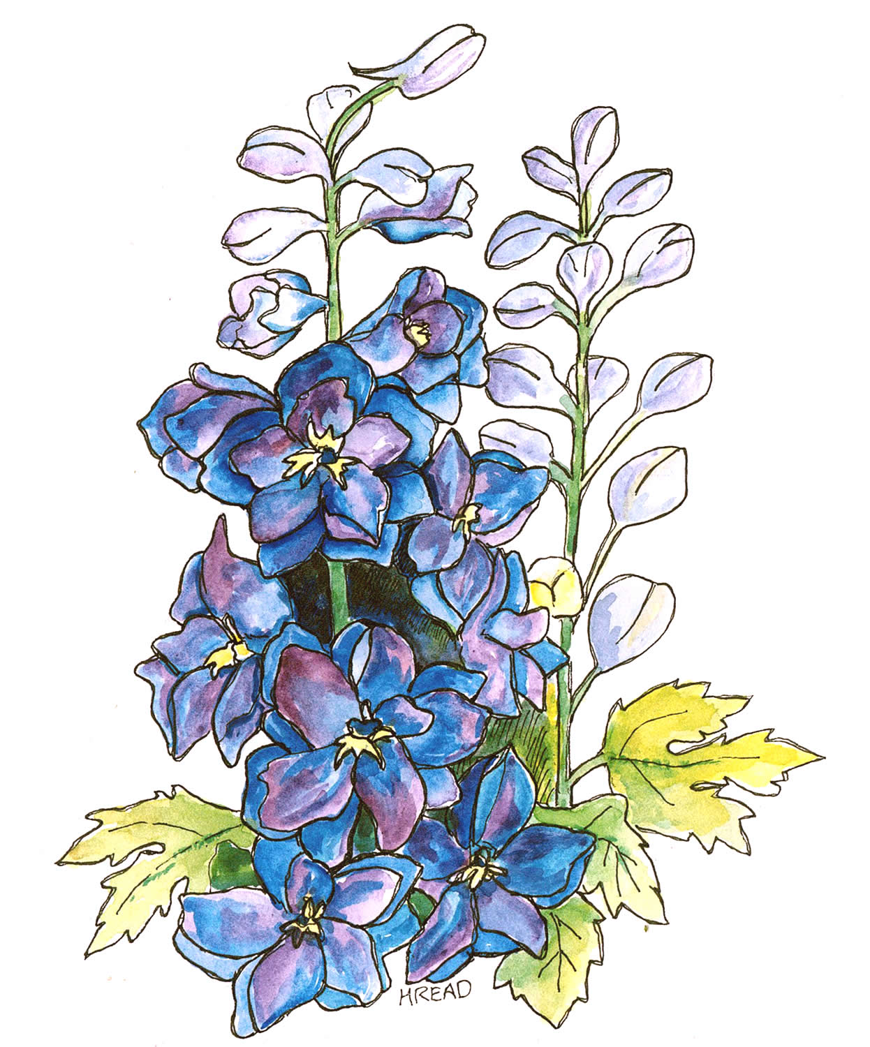 brushstrokes, etc.: Delphinium! A free download for my friends :)