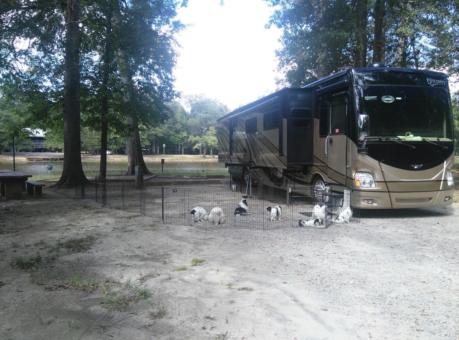 Retha's Campsite Reviews Le Fleur's Bluff State Park Jackson, Mississippi