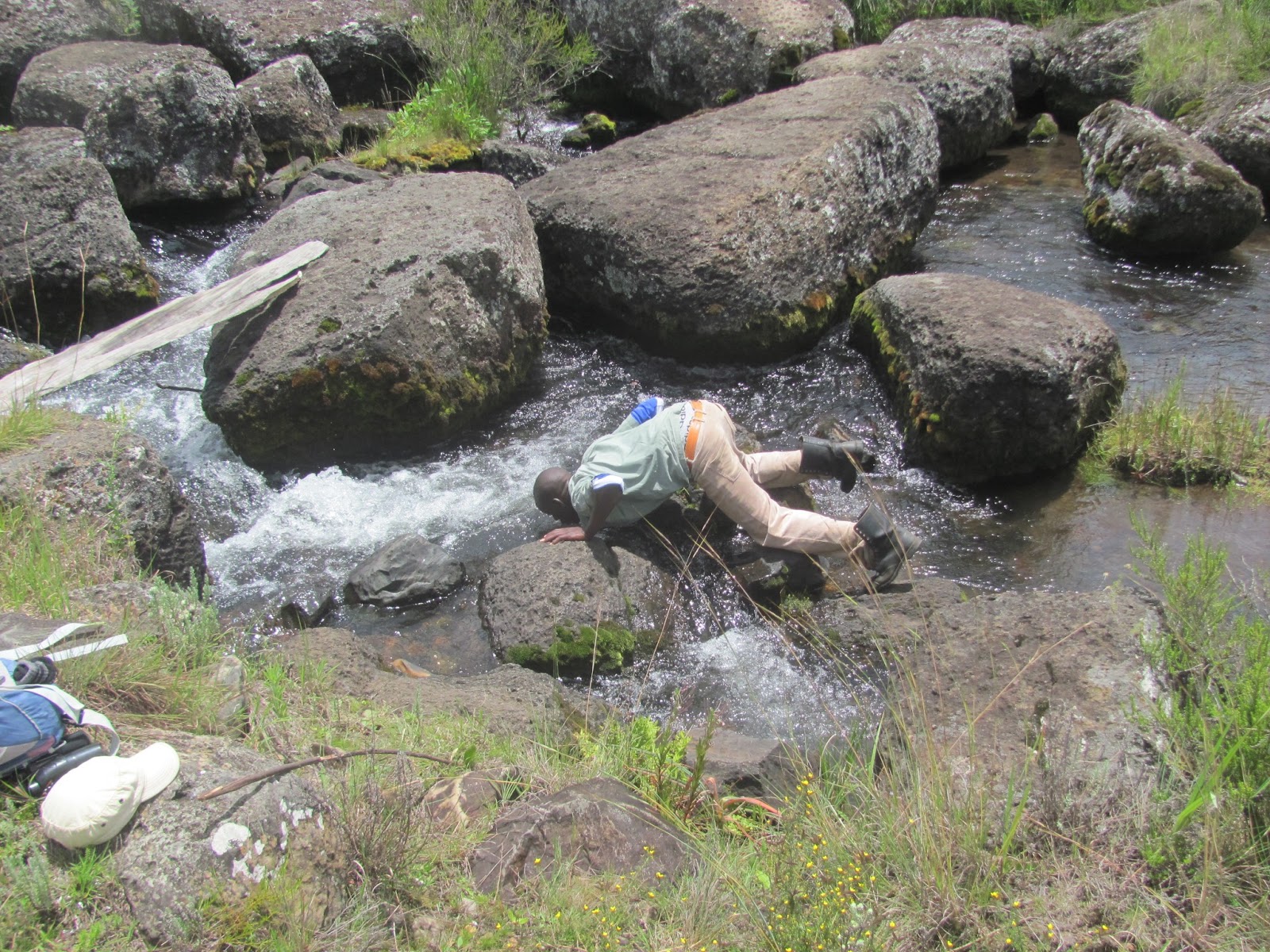 Tanzanianology: Kitulo National Park