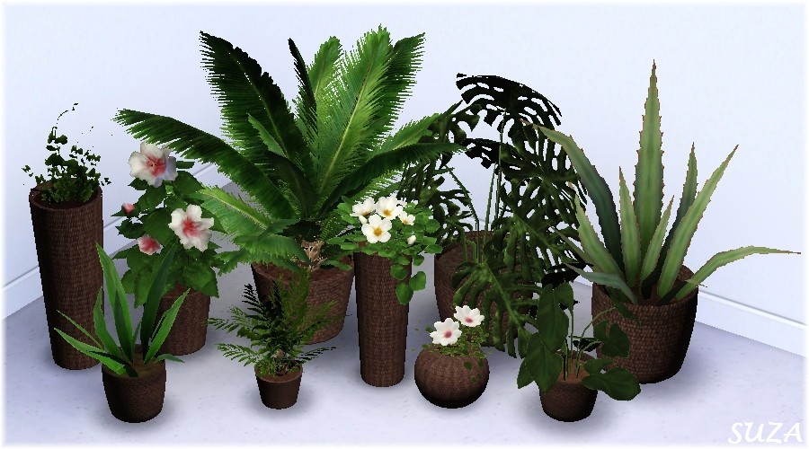 My Sims 3 Blog New Plants by Suza