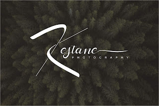 Fotoğrafçı logo tasarımı (imza) Photography Fotoğrafçı logo tasarımı imza kestane foto