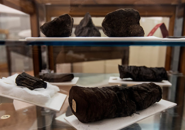 Ancient Greek papyri virtually unwrapped in Italy