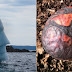 These 25 Highly Confusing Images Made Us Think Twice