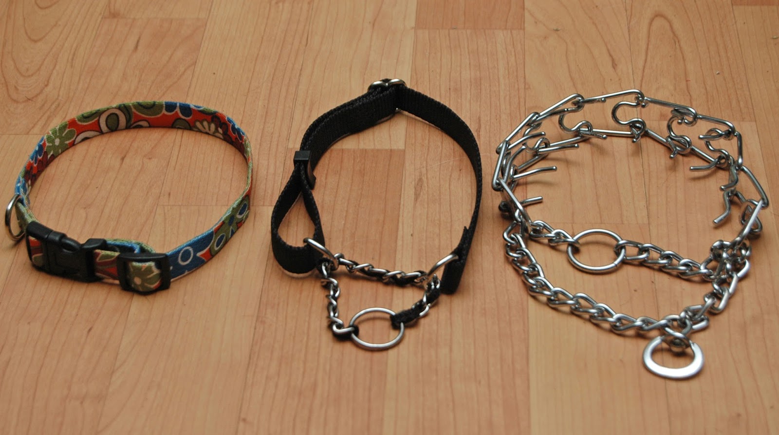 Pets N More 10 Top Dangers That Can Be Avoided When Walking A Dog