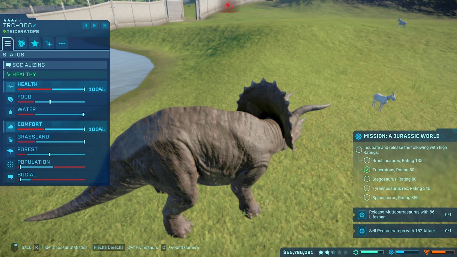 JWE%2BTrike%2Band%2Bgoat.jpg