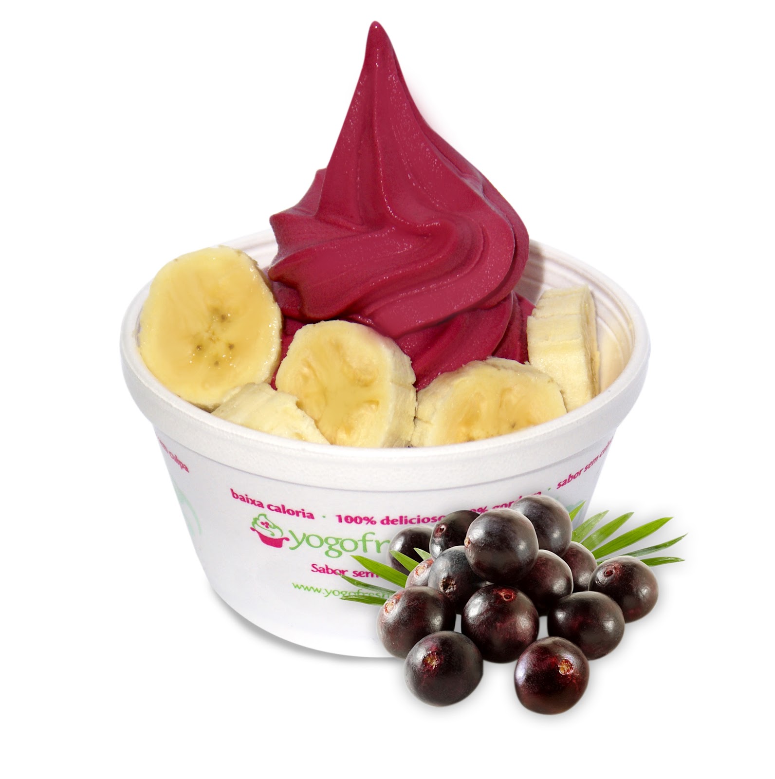 Jornal Oceano Yogofresh apresenta frozen de açaí com baixa caloria