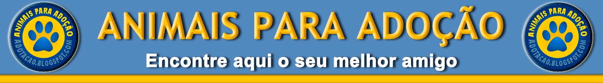 Animais para Adoção - SP